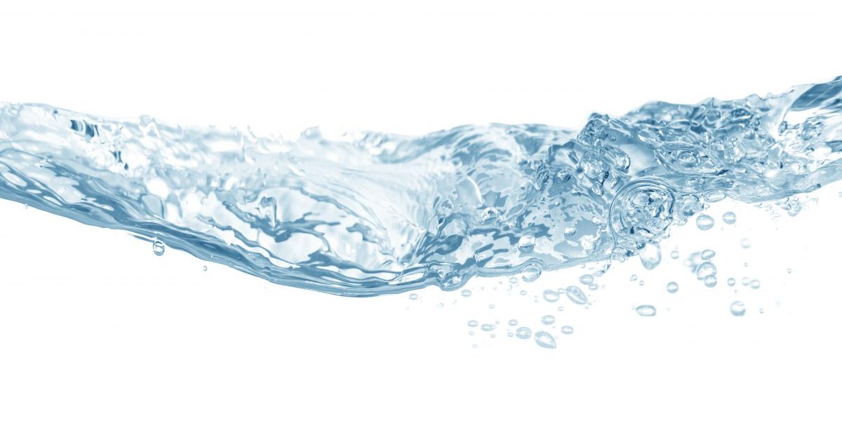shutterstock_548404816